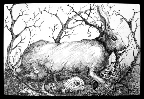 Hare in the Brambles with Skulls
