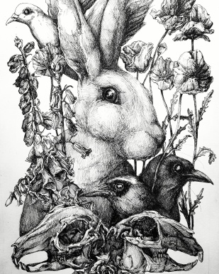 A Rabbit sits amongst poppies, foxgloves and bluebells. A rose nestles between two rabbit skulls whilst the magpies look on.